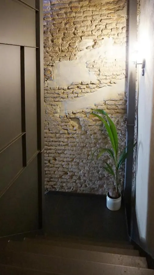 San Jorge Suites Triana Seville Apartment