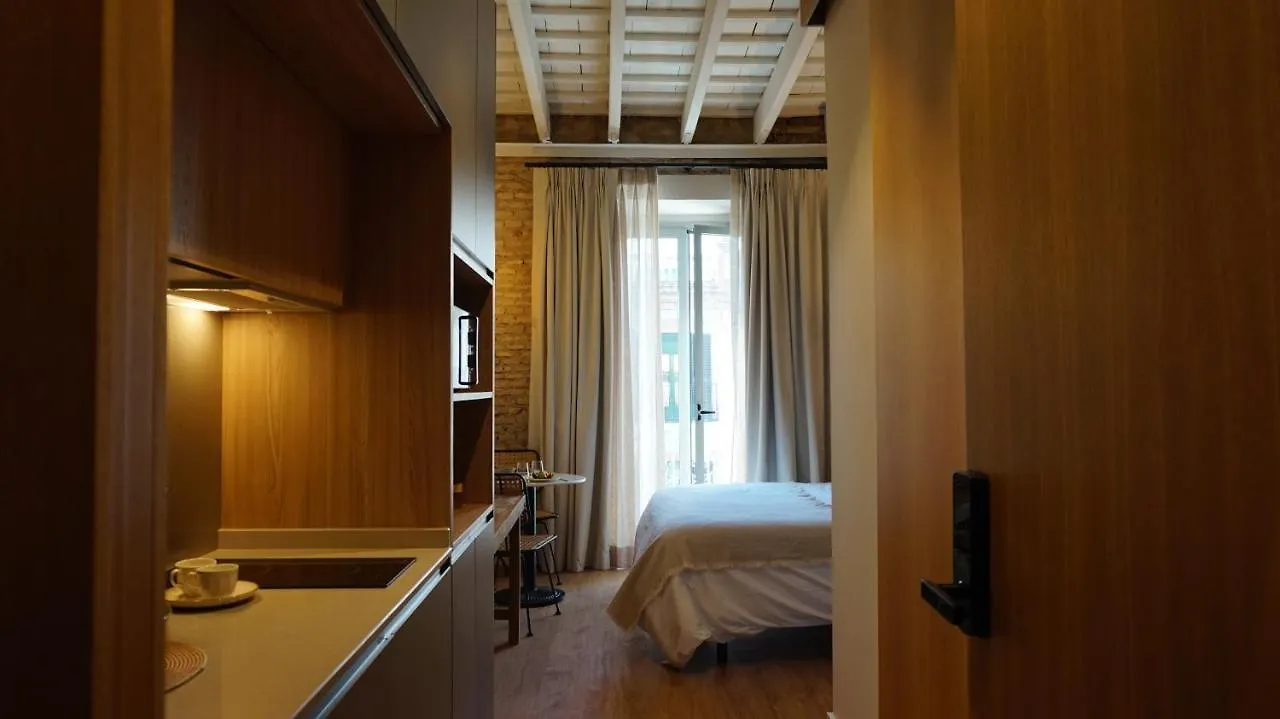 Estudios y Ático vistas de Triana Siviglia Spagna