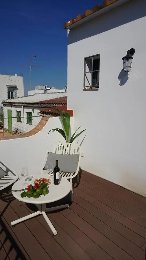 Appartamento Estudios y Ático vistas de Triana Siviglia Spagna